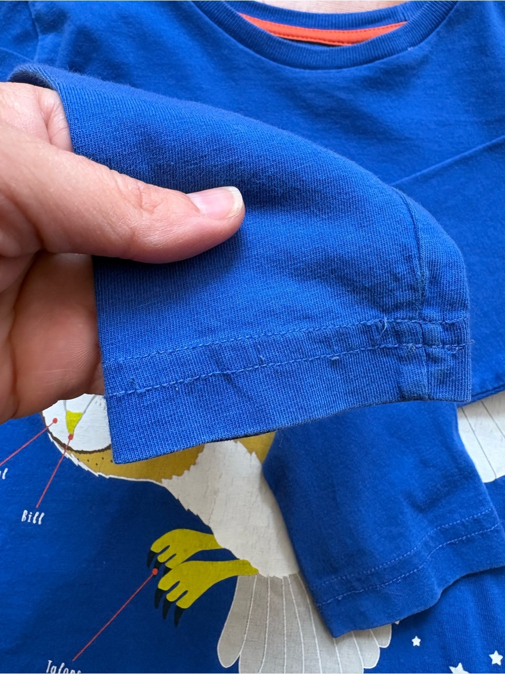 Mini Boden | Royal Blue Owl Education Graphic Top | Long-Sleeve Tee | 3-4 - Picture 6 of 7